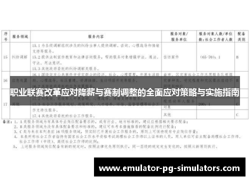 职业联赛改革应对降薪与赛制调整的全面应对策略与实施指南