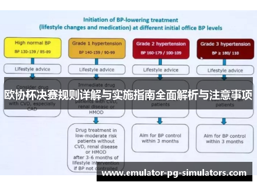 欧协杯决赛规则详解与实施指南全面解析与注意事项