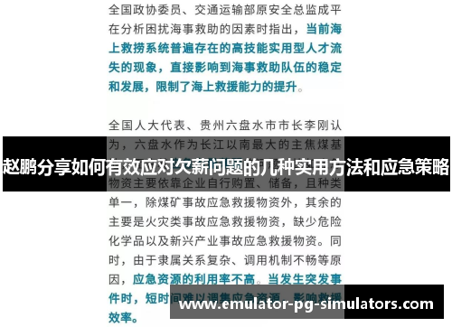 赵鹏分享如何有效应对欠薪问题的几种实用方法和应急策略