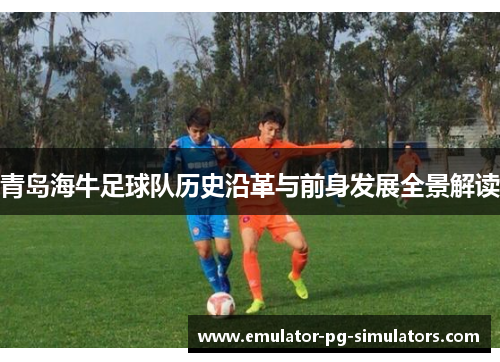 青岛海牛足球队历史沿革与前身发展全景解读