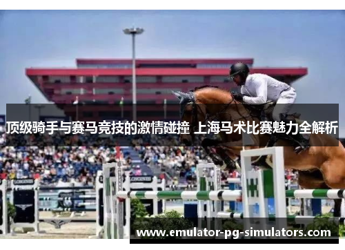 顶级骑手与赛马竞技的激情碰撞 上海马术比赛魅力全解析