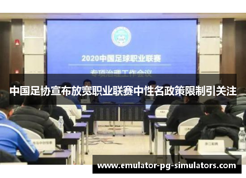中国足协宣布放宽职业联赛中性名政策限制引关注